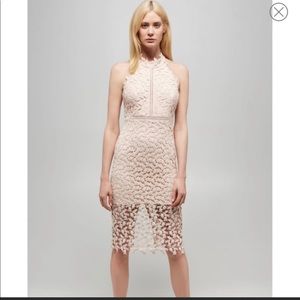 Bardot Gemma Dress! New with tags.